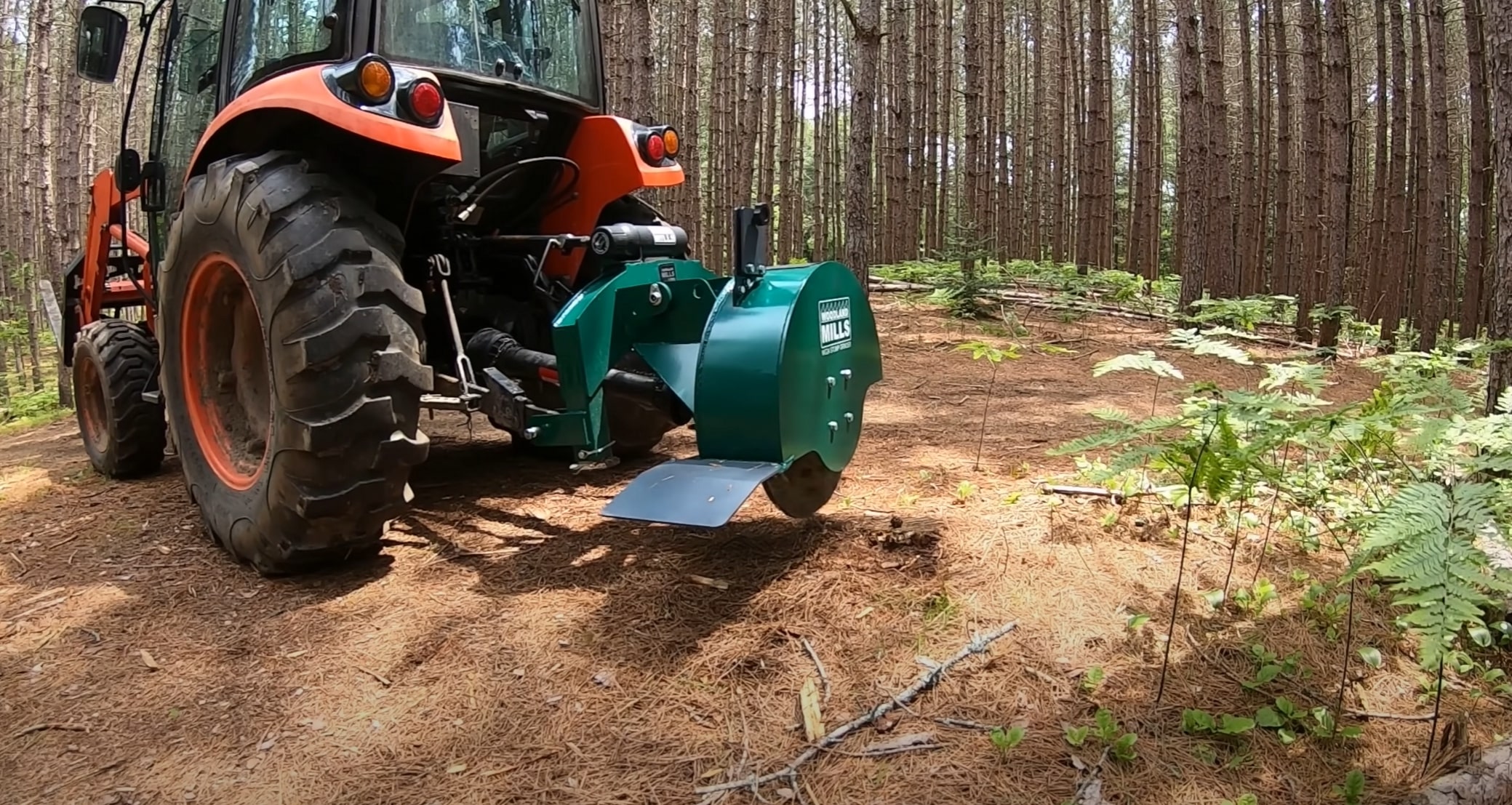 Stump Grinding & Removal in Los Banos, CA
